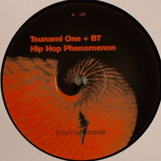 Hip Hop Phenomenon cover