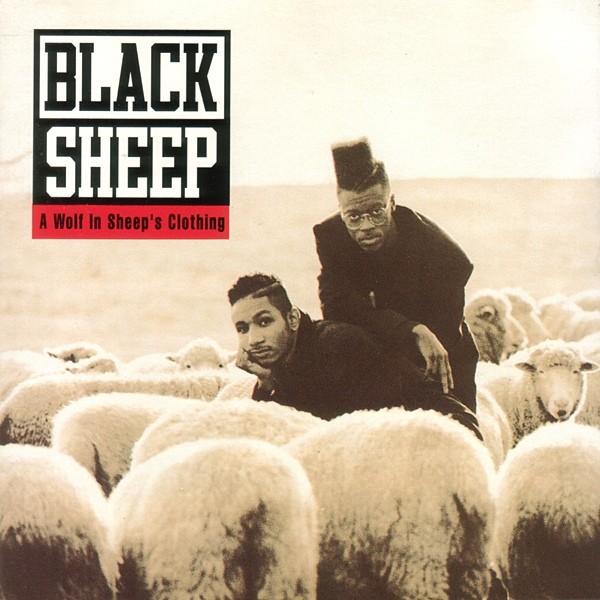 A Wolf In Sheep's Clothing cover
