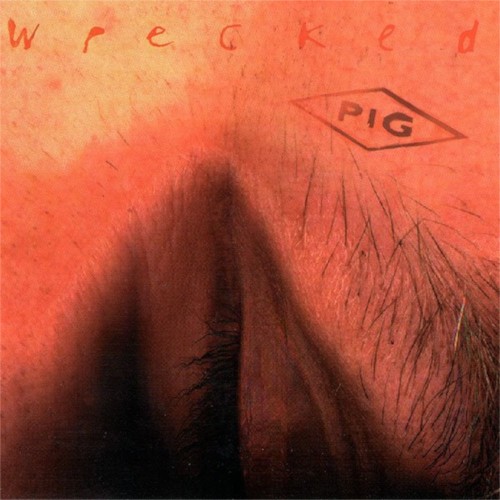 Wrecked cover