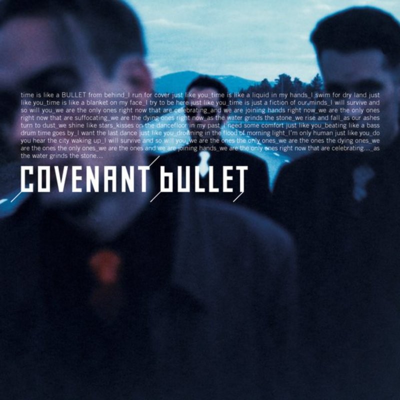Bullet cover