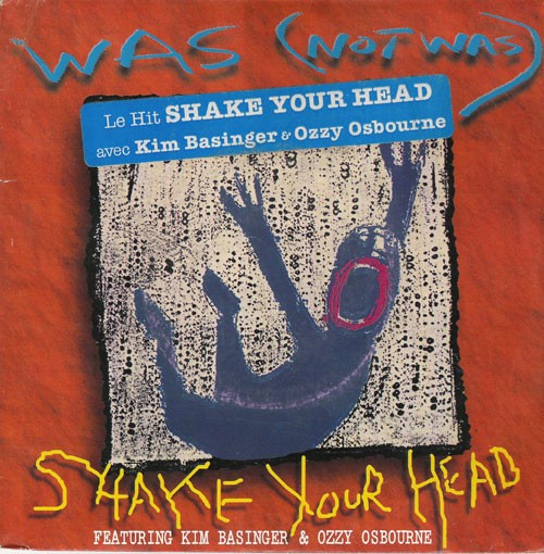 Shake Your Head cover