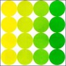 Suite: 98 cover