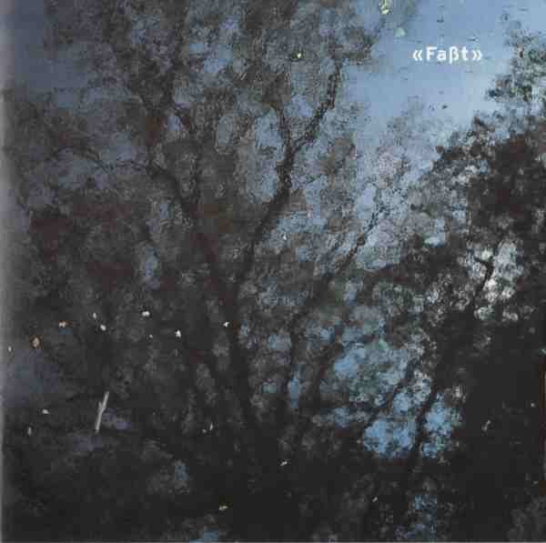 Faßt cover