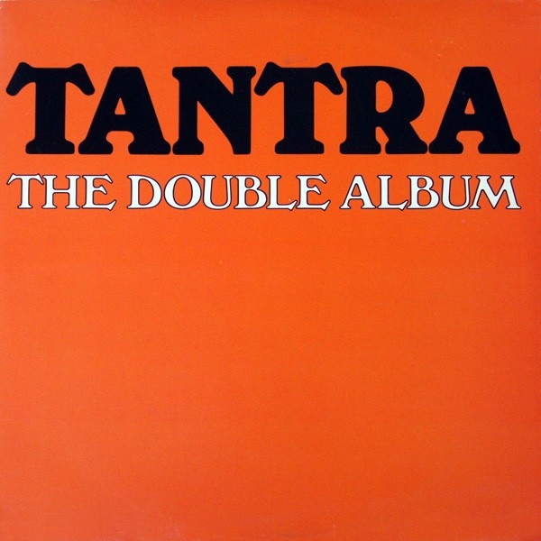 The Double Album cover