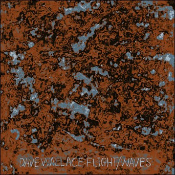Flight / Waves cover