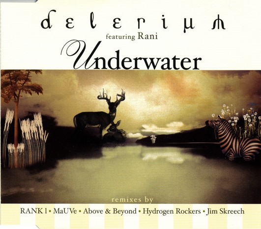 Underwater cover