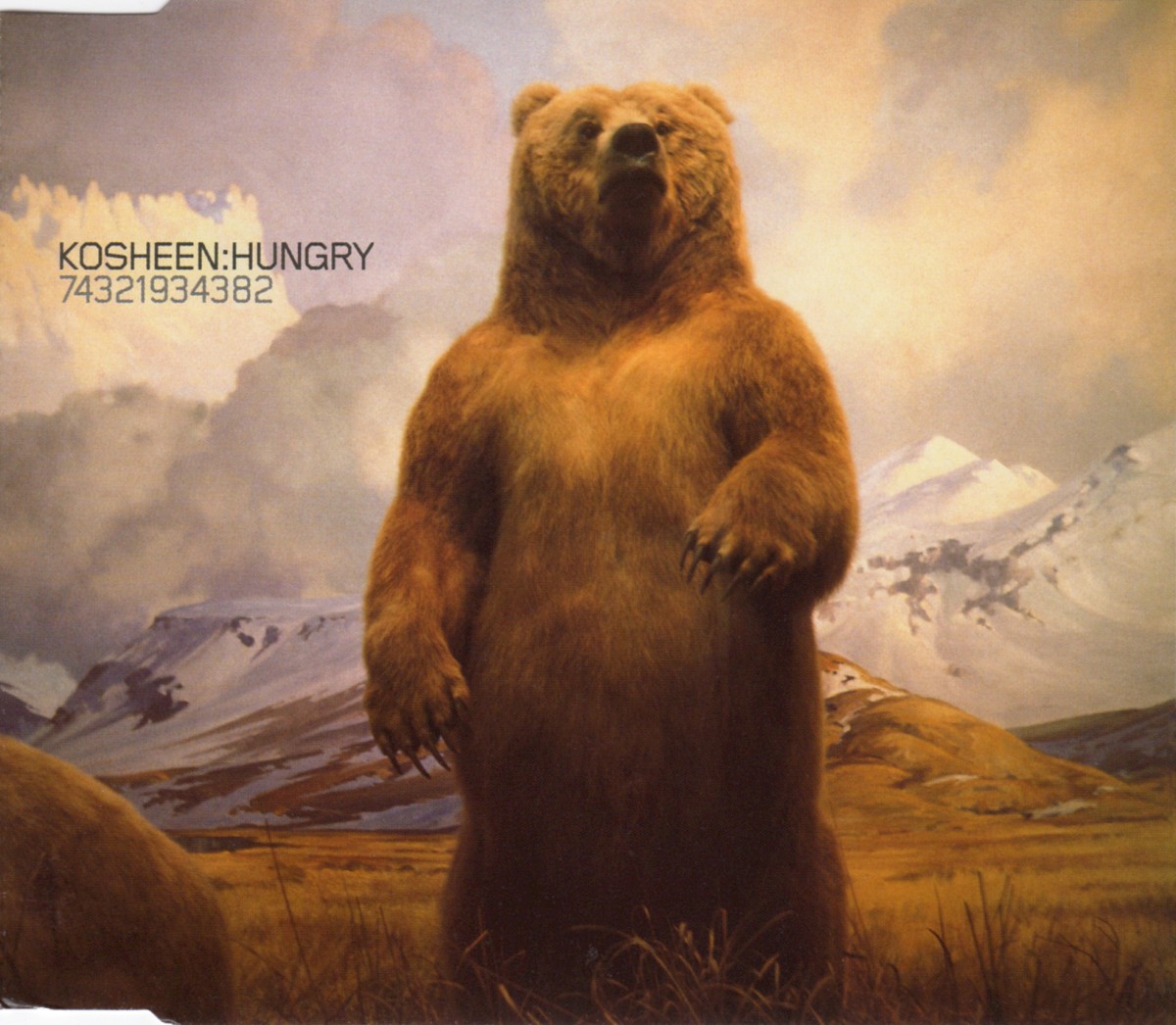 Hungry cover
