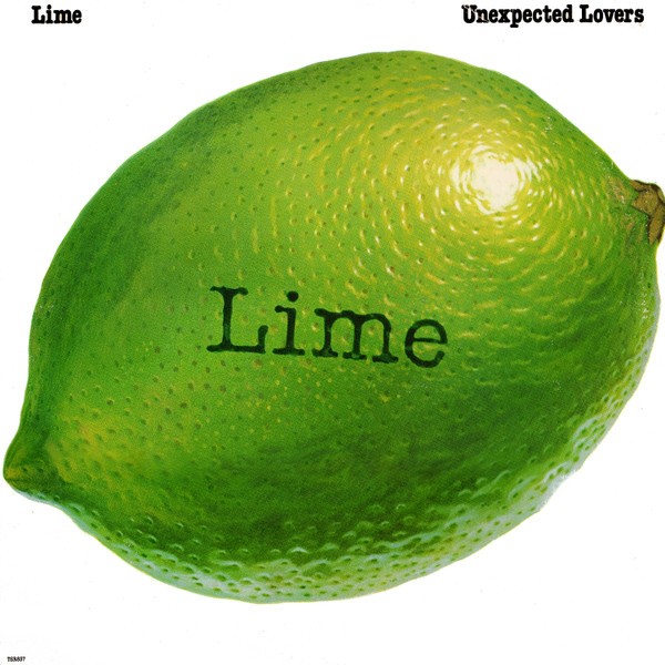 Unexpected Lovers cover