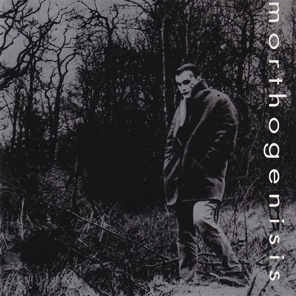 Morthogenisis cover