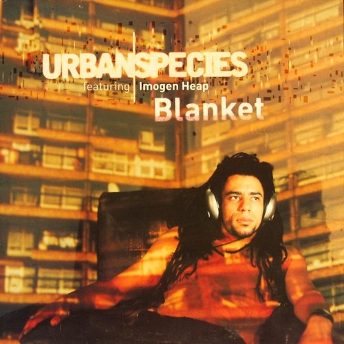 Blanket cover