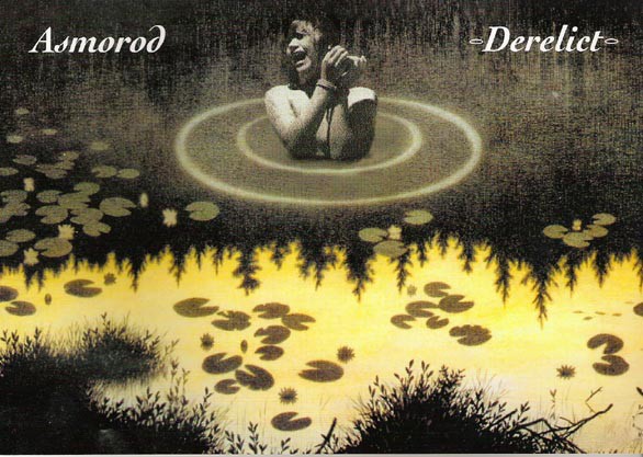 Derelict cover