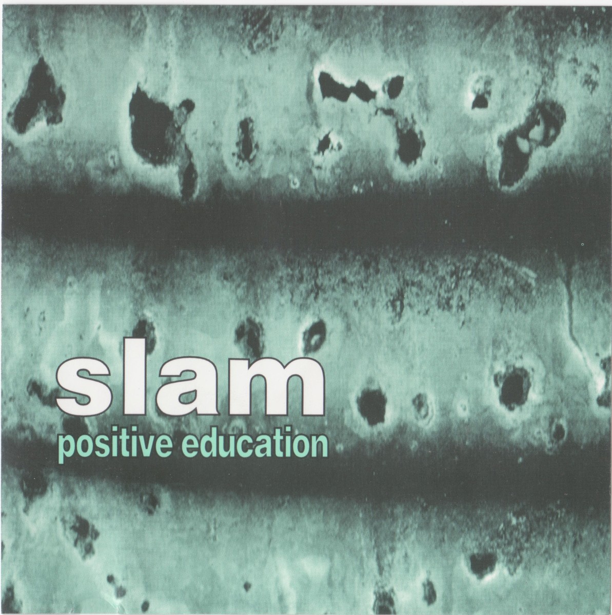 Positive Education cover
