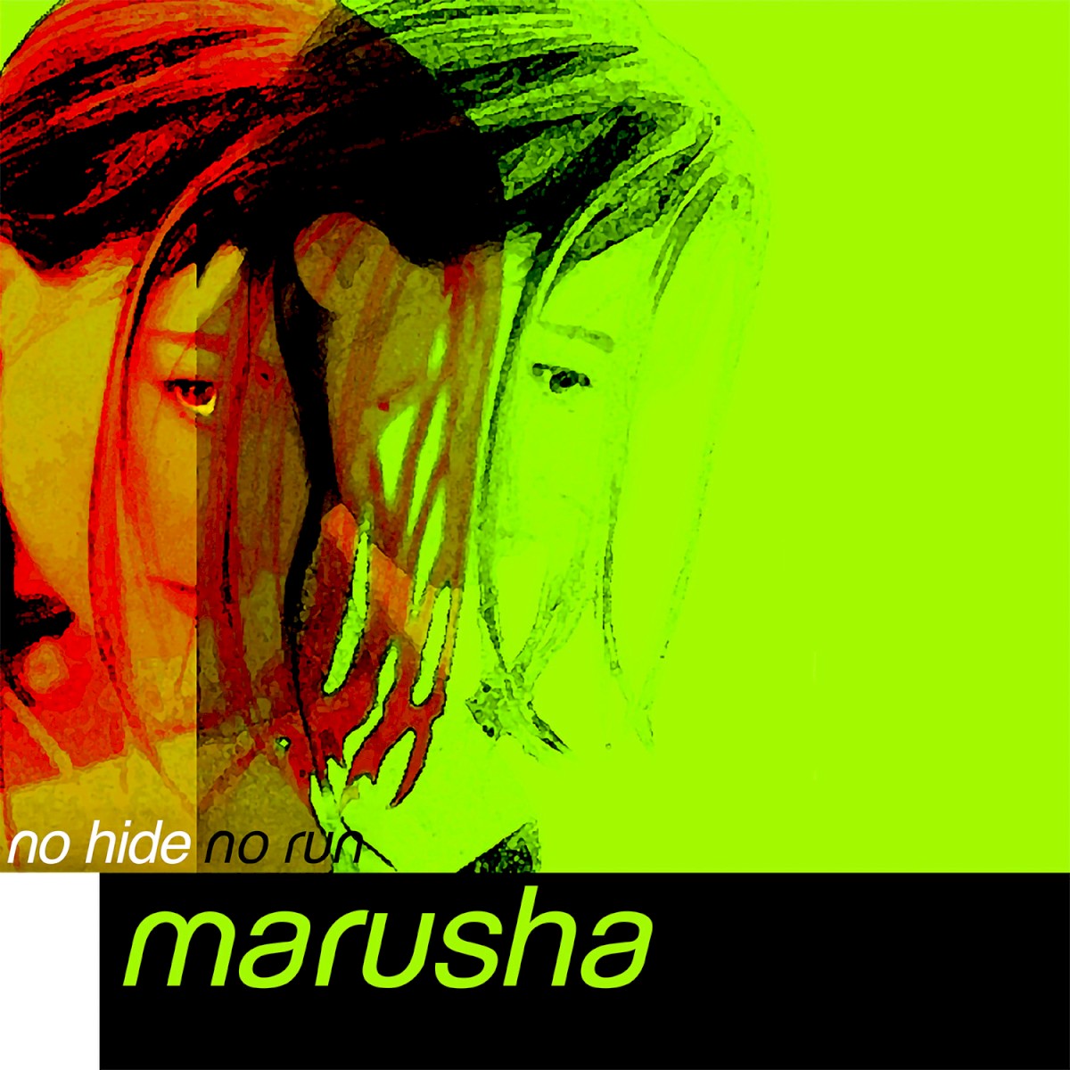 No Hide No Run cover