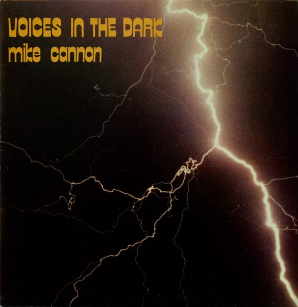 Voices In The Dark cover
