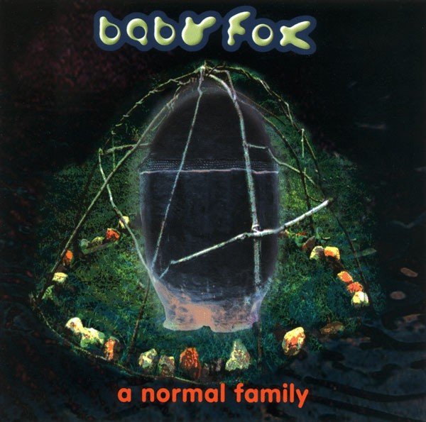 A Normal Family cover