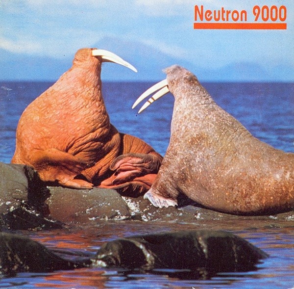 Walrus cover