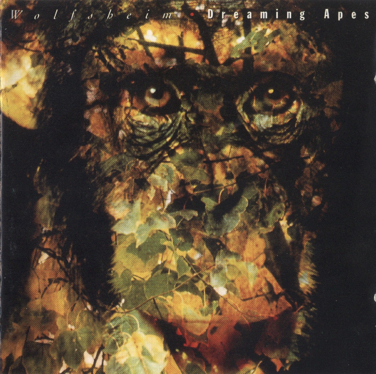 Dreaming Apes cover