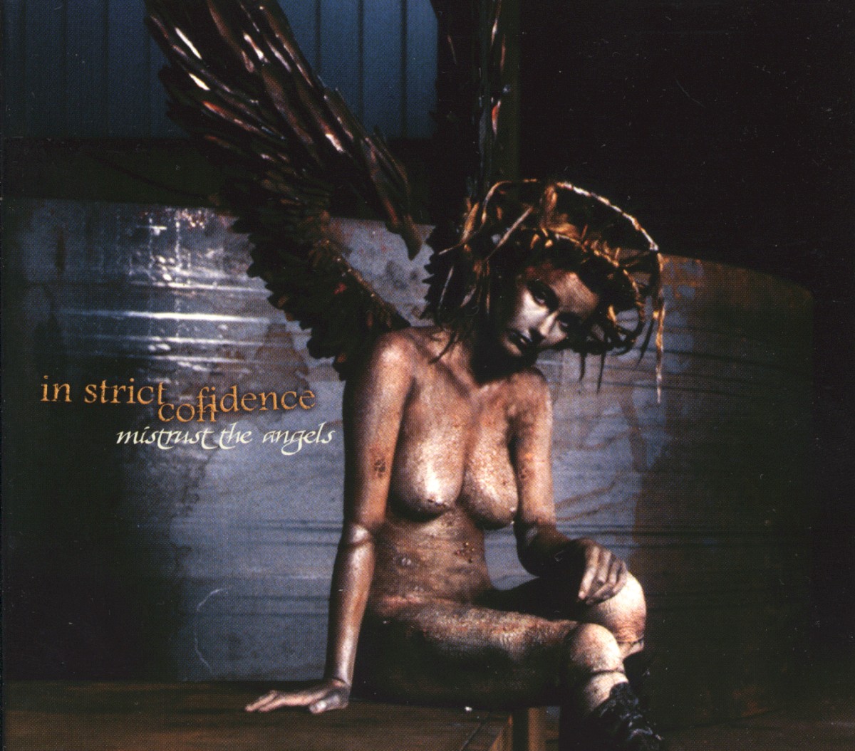 Mistrust The Angels cover