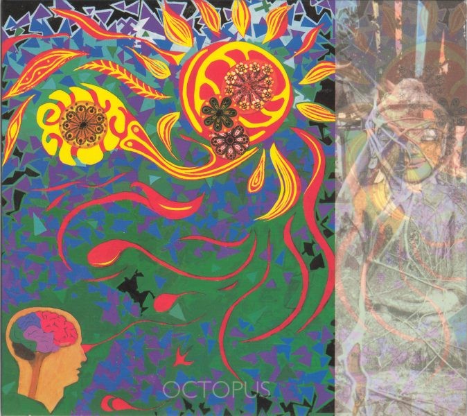 Octopus cover
