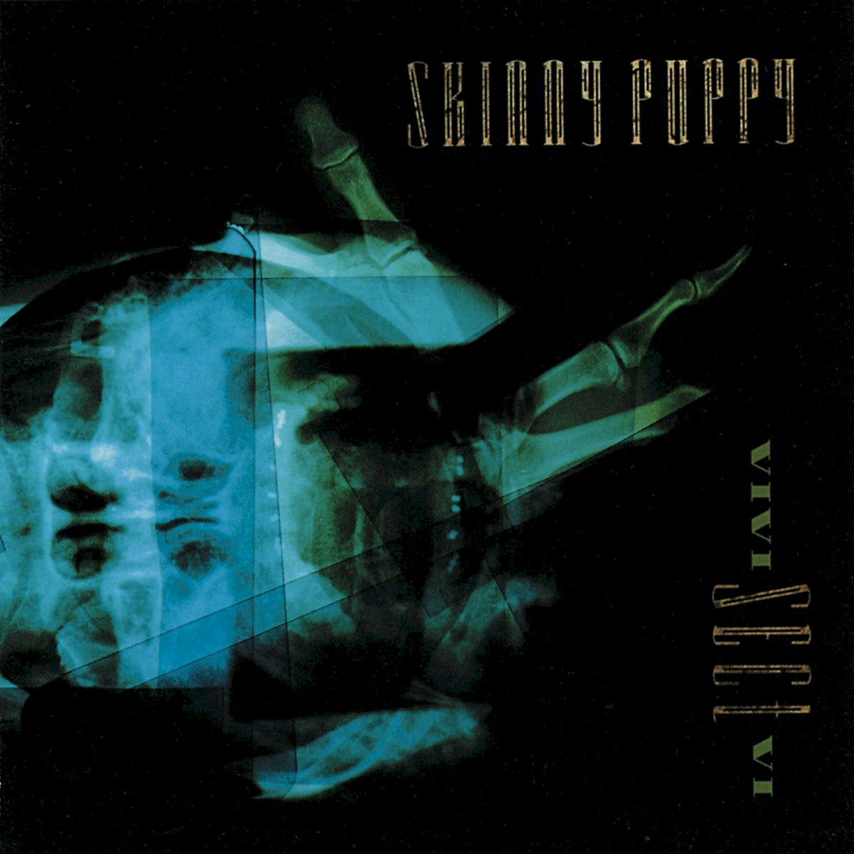 VIVIsectVI cover