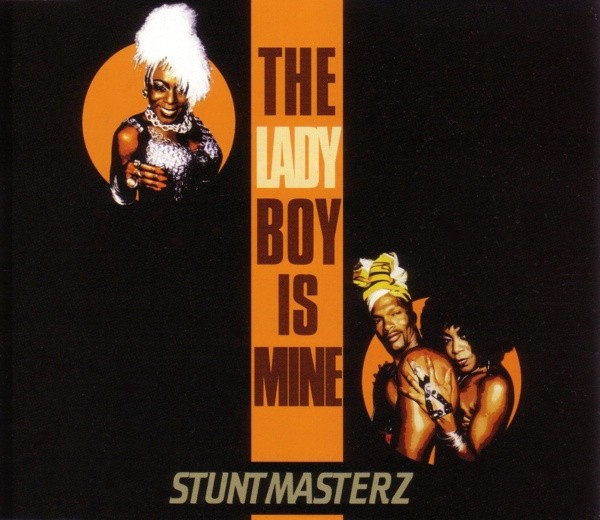 The Ladyboy Is Mine cover