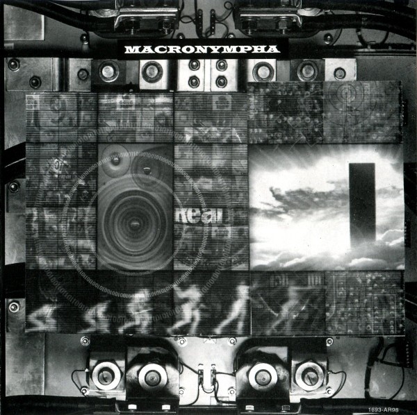 Membranes And Black Holes cover