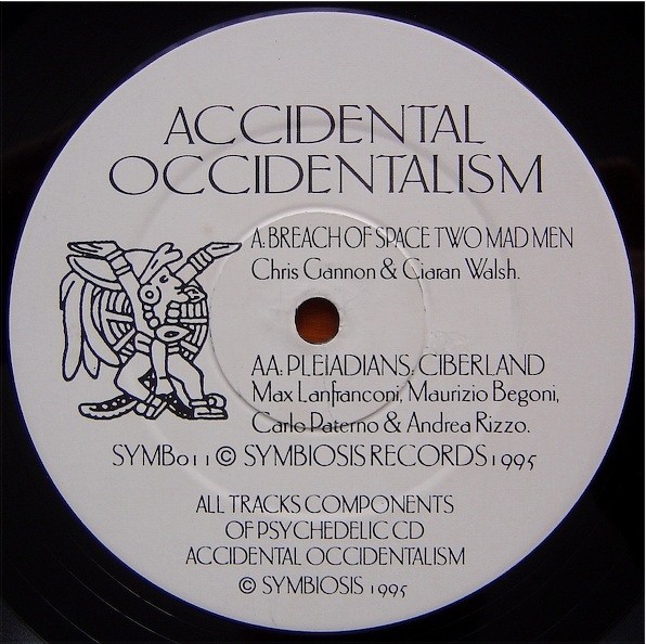 Accidental Occidentalism cover