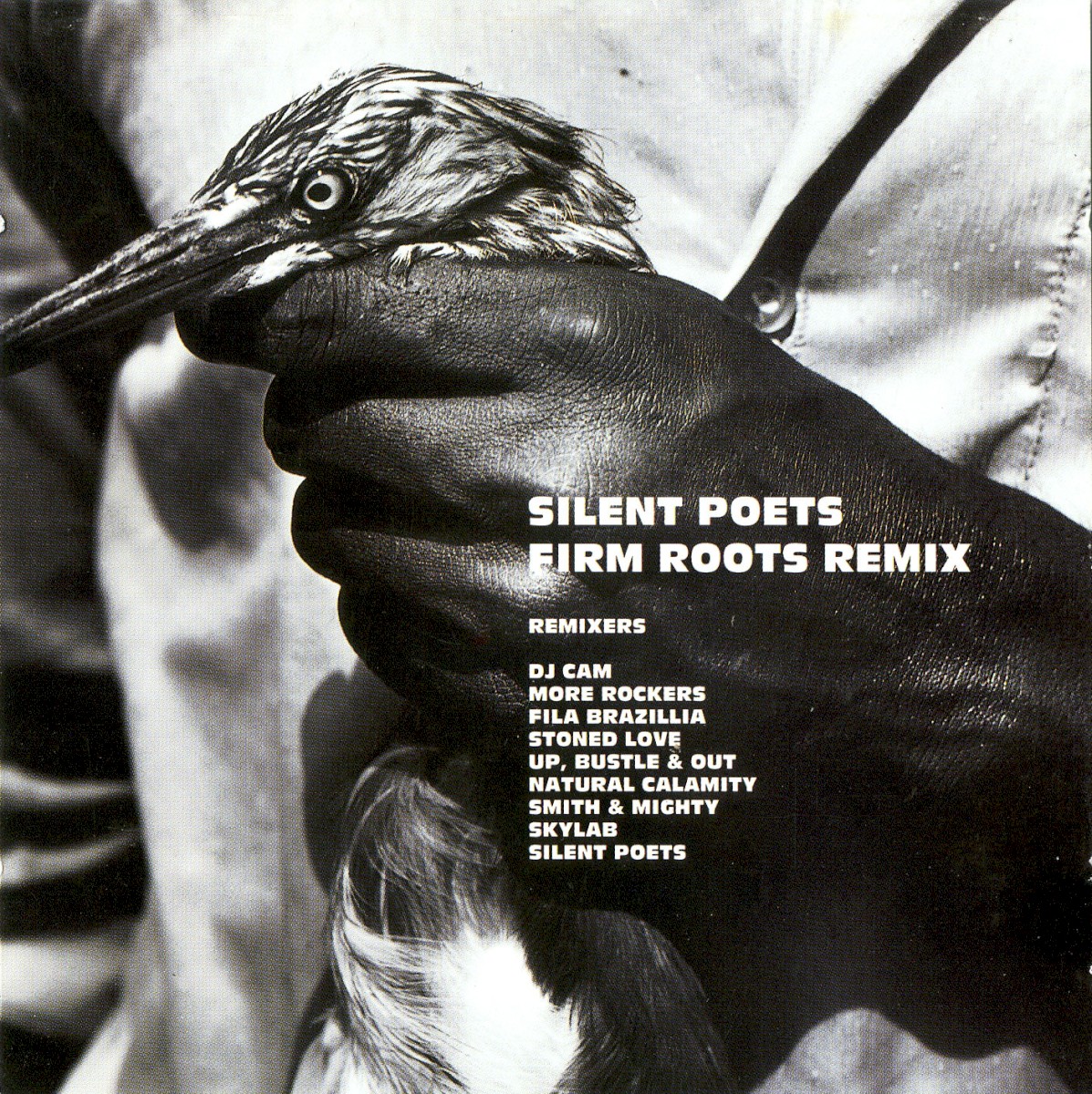 Firm Roots Remix cover