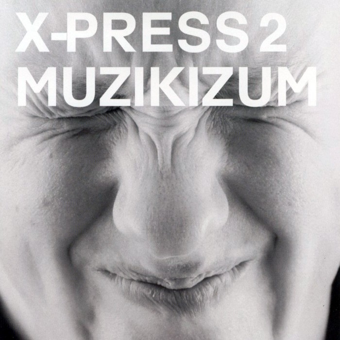 Muzikizum cover
