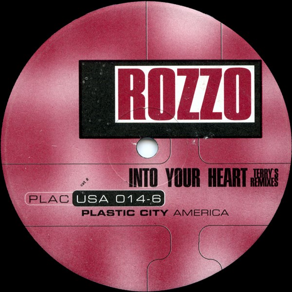 Into Your Heart (Terry's Remixes) cover