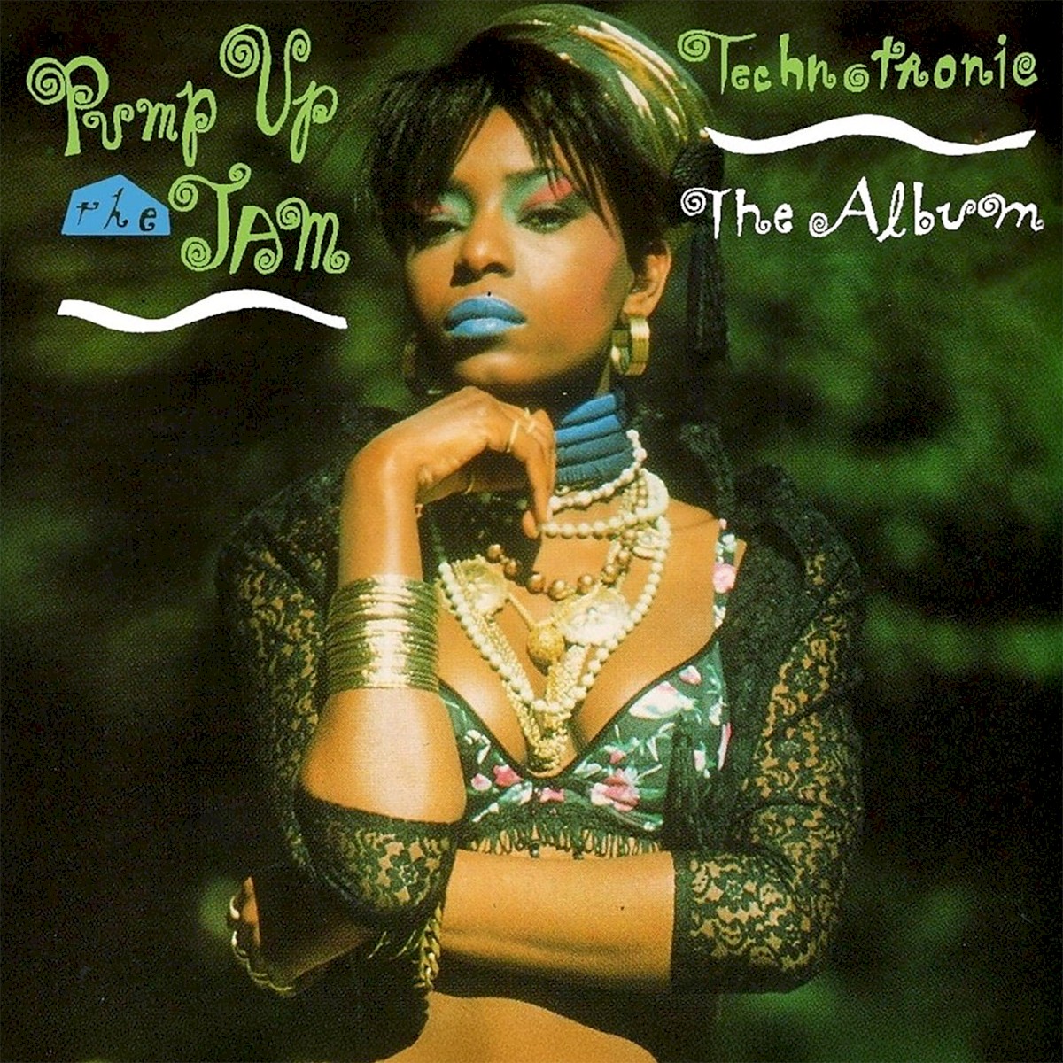Pump Up The Jam - The Album cover