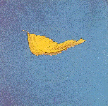 True Faith / 1963 cover