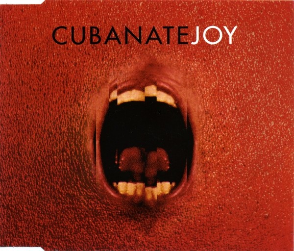 Joy cover