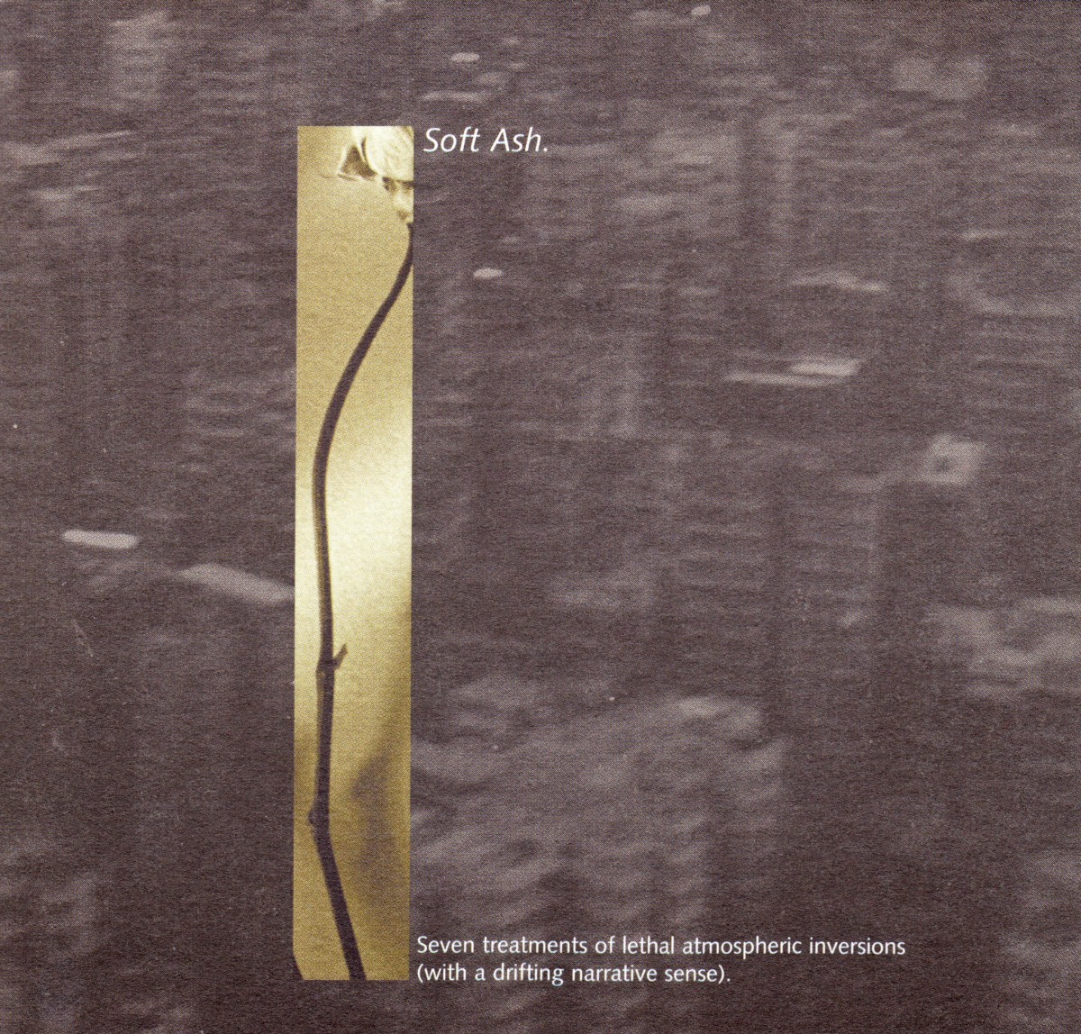 Soft Ash cover